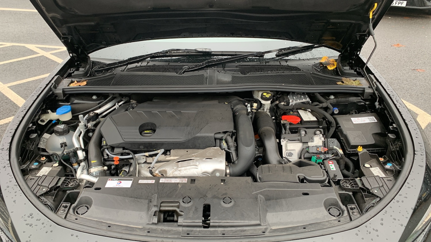 Used Peugeot 408 2024 for sale - 76730023: Photo 18