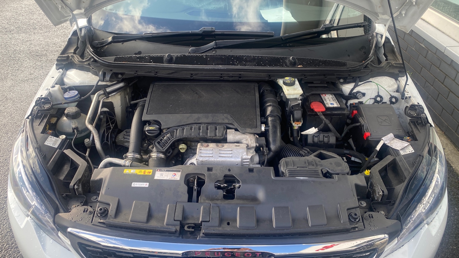 Used Peugeot 308 2018 for sale - 76154019: Photo 18