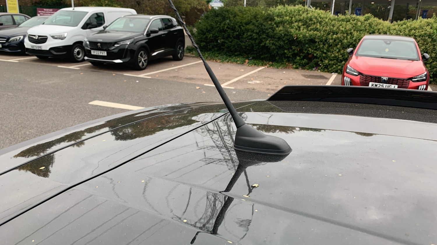 Used Citroen C3 2025 for sale - 76327638: Photo 46