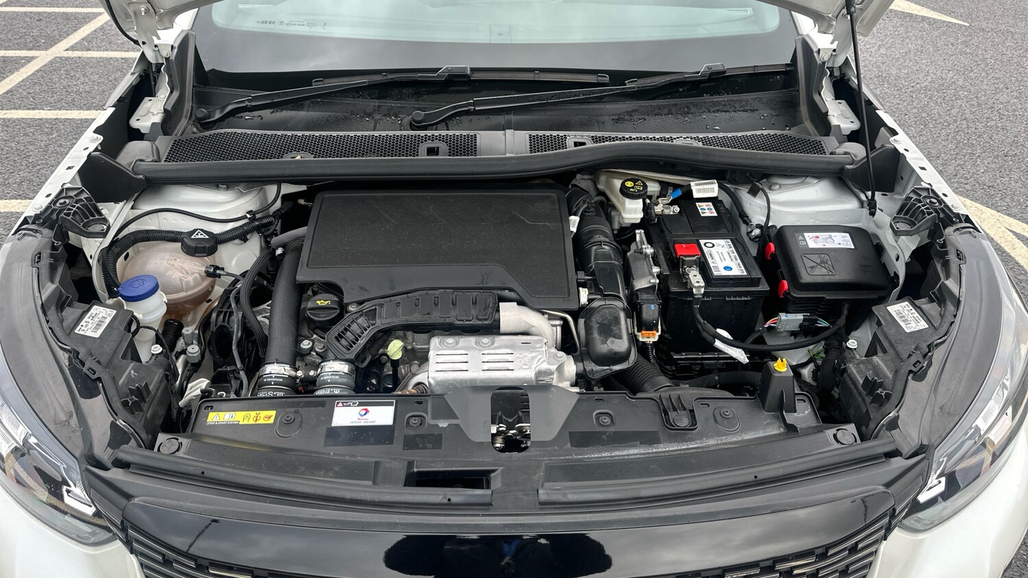 Used Peugeot 2008 2023 for sale - 77525611: Photo 18