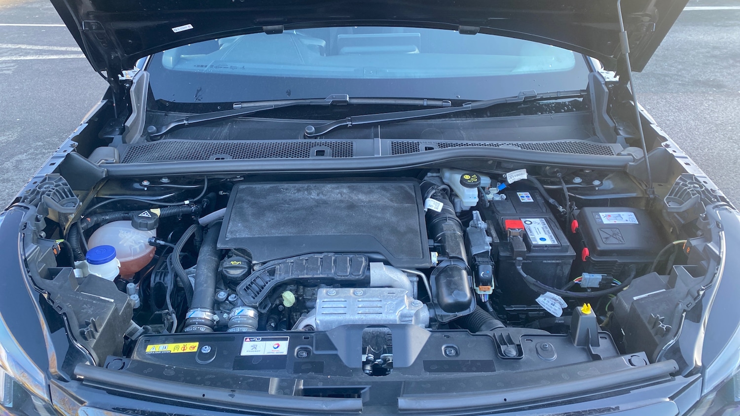 Used Peugeot 2008 2022 for sale - 77121164: Photo 19