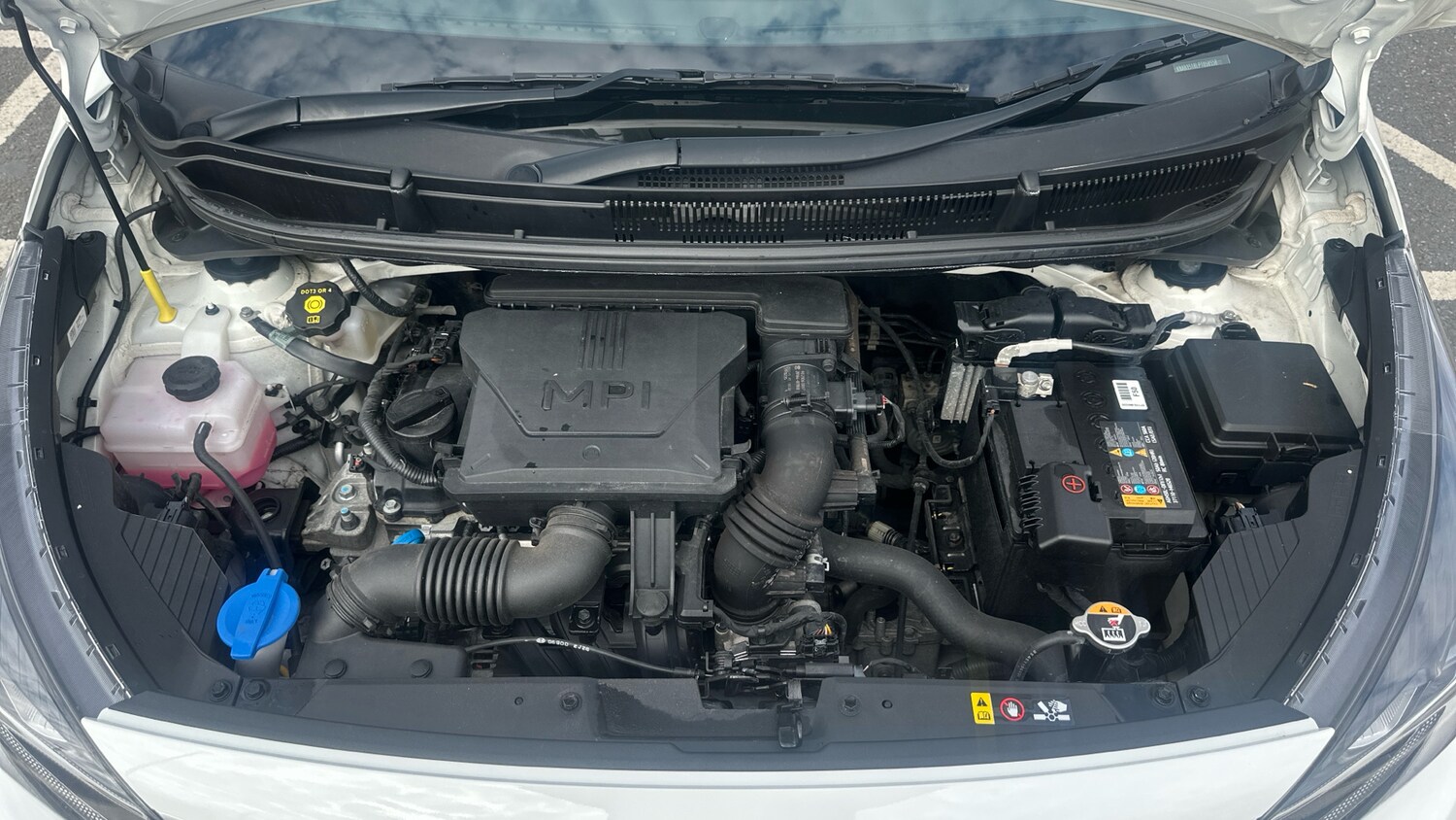 Used Kia Picanto 2023 for sale - 77724554: Photo 18