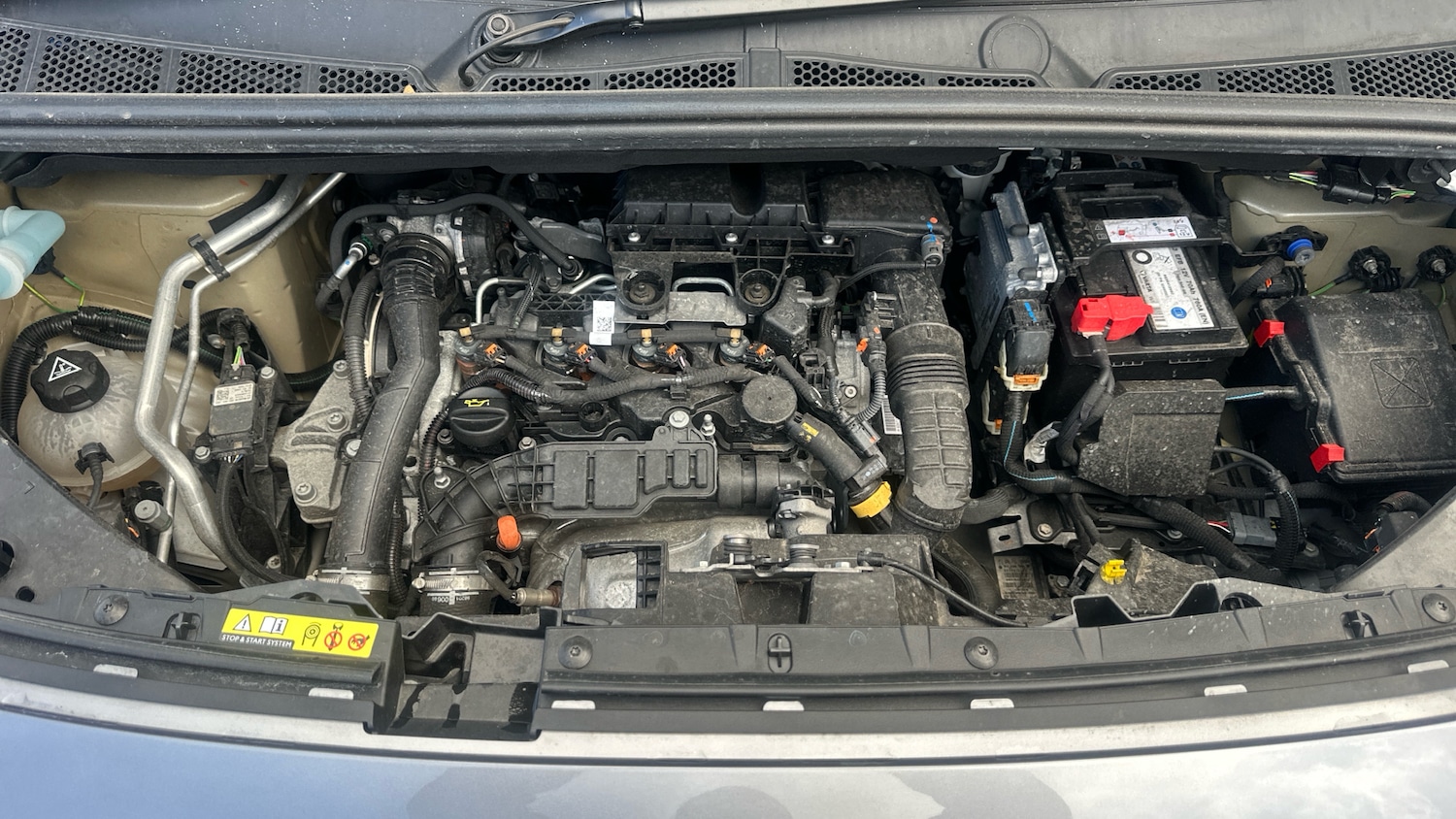 Used Peugeot Partner 2024 for sale - 77794772: Photo 18