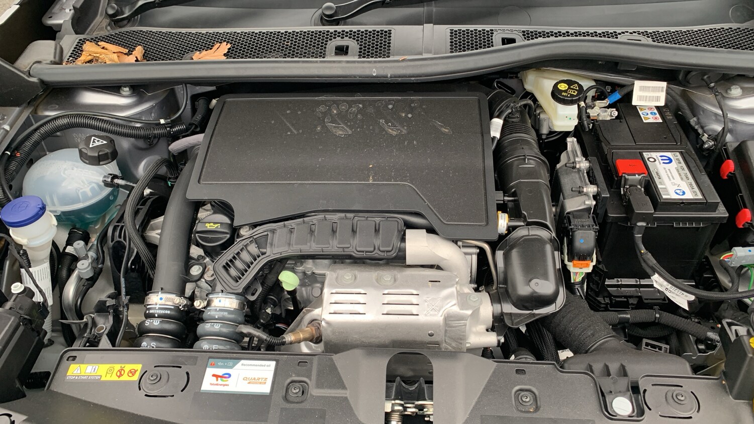 Used Peugeot 2008 2025 for sale - 76927478: Photo 18