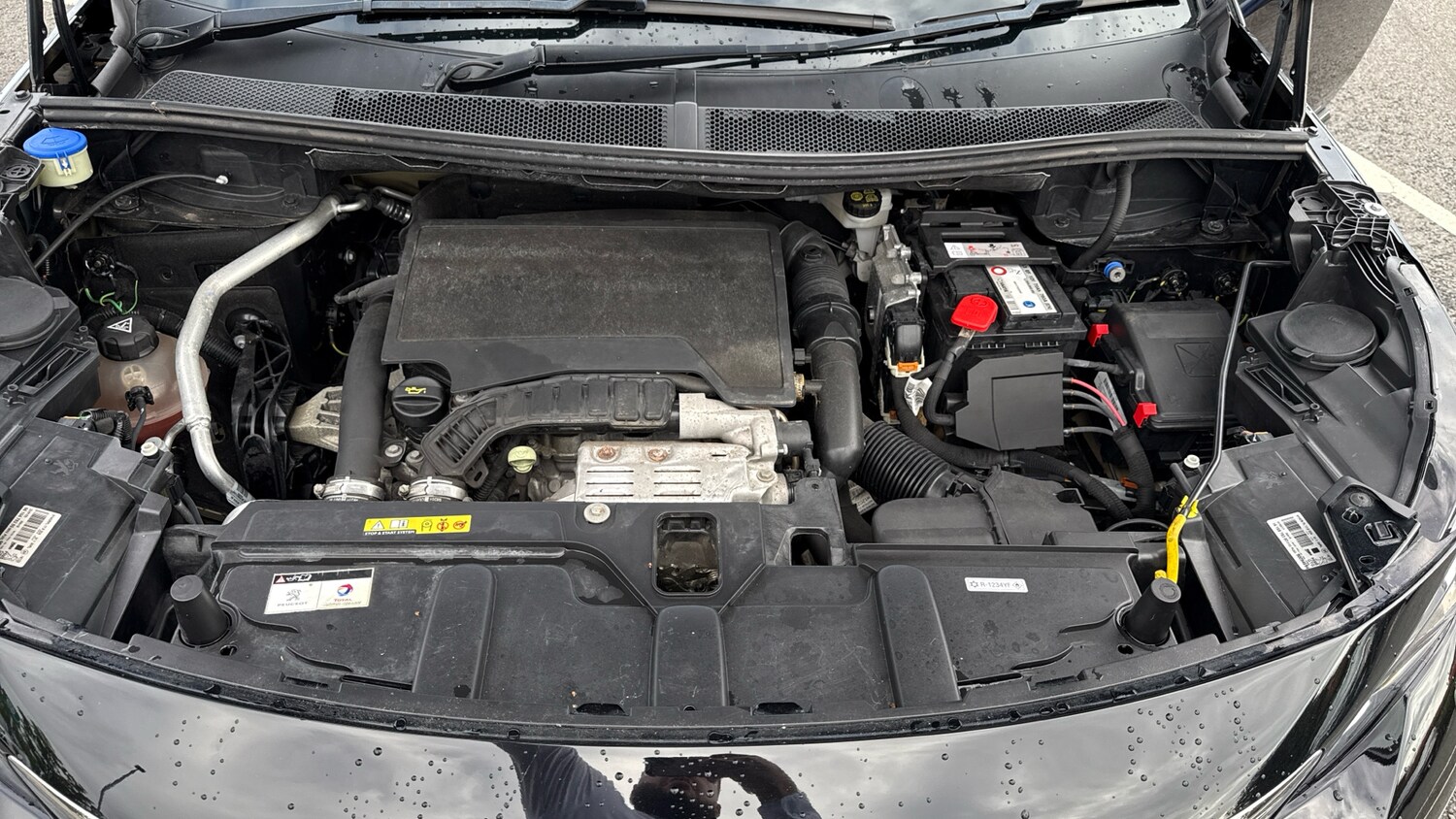 Used Peugeot 3008 2020 for sale - 75929306: Photo 18