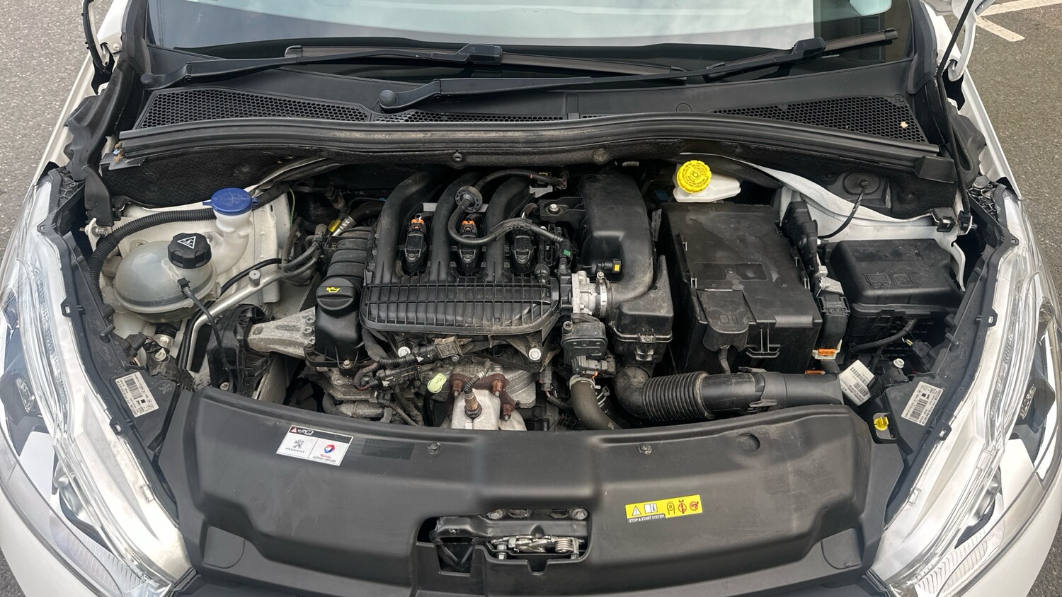 Used Peugeot 208 2019 for sale - 77825845: Photo 18