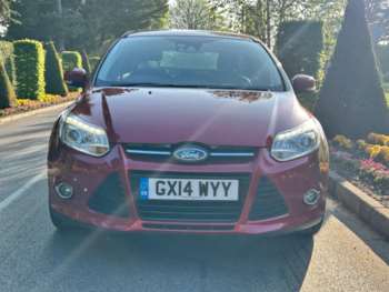 Used Ford Focus 2014 for sale - 74791017: Photo
