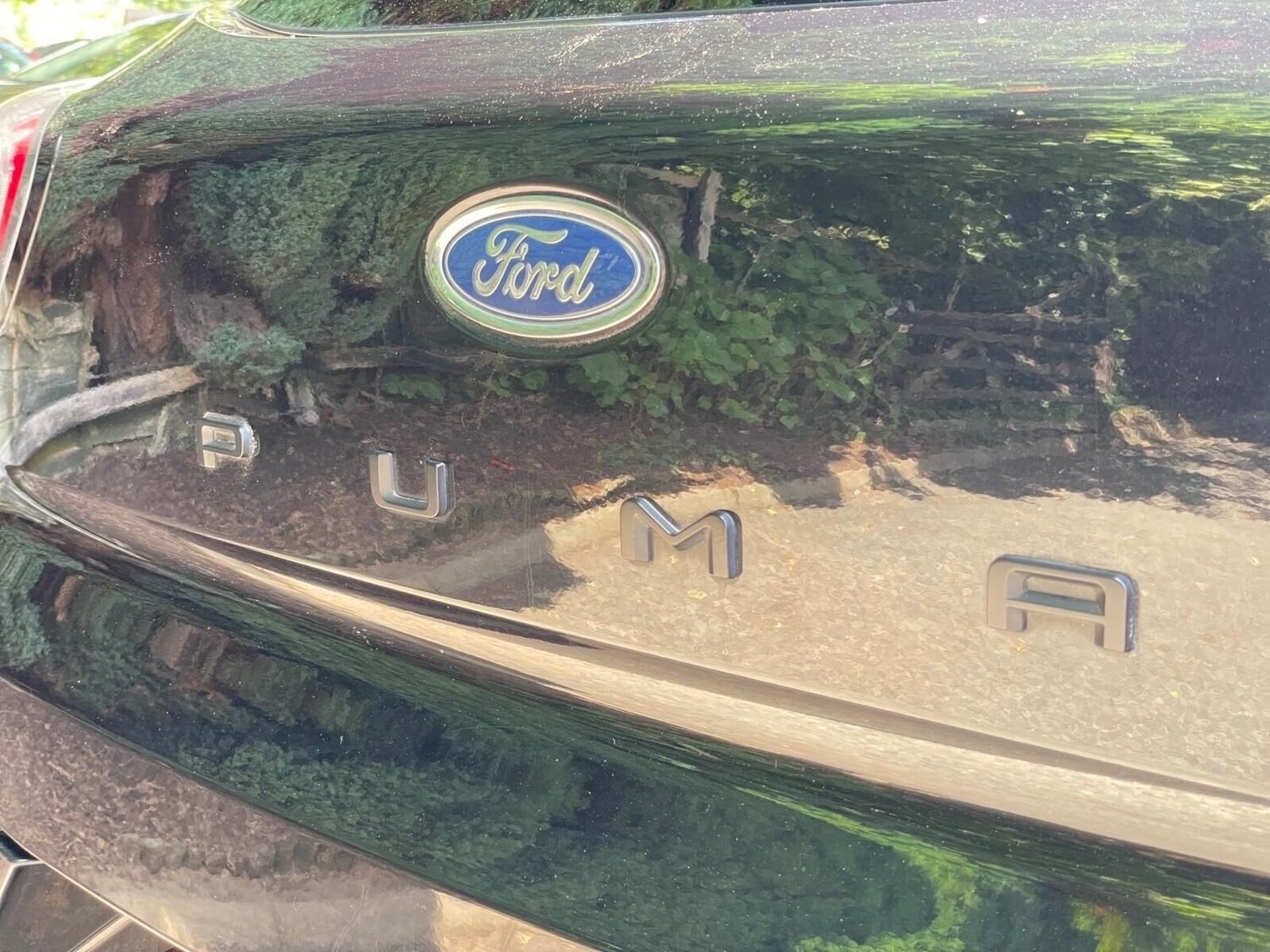 Vehicle 31