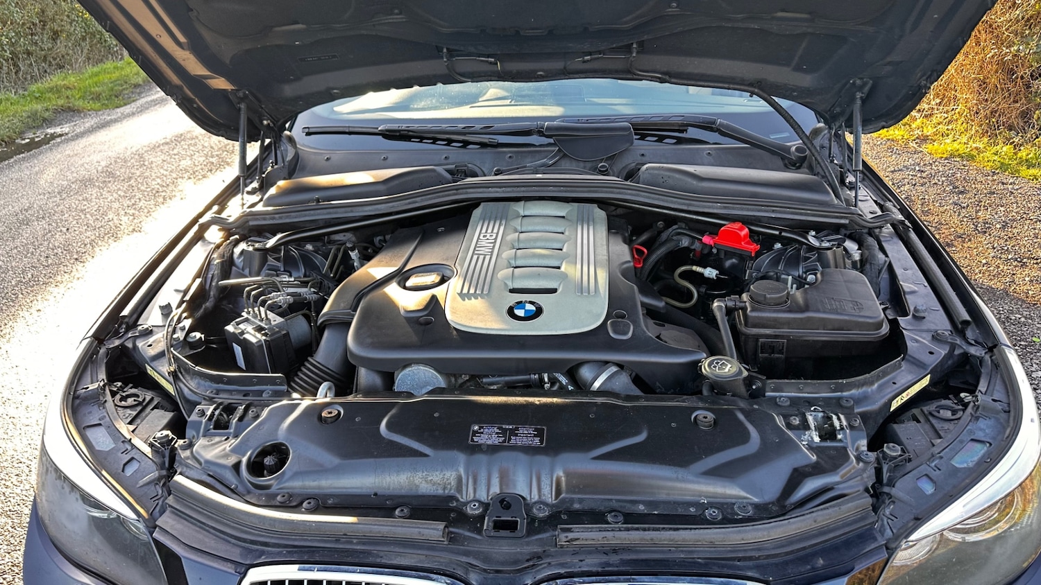 Used BMW 5 Series 2006 for sale - 77138677: Photo 12