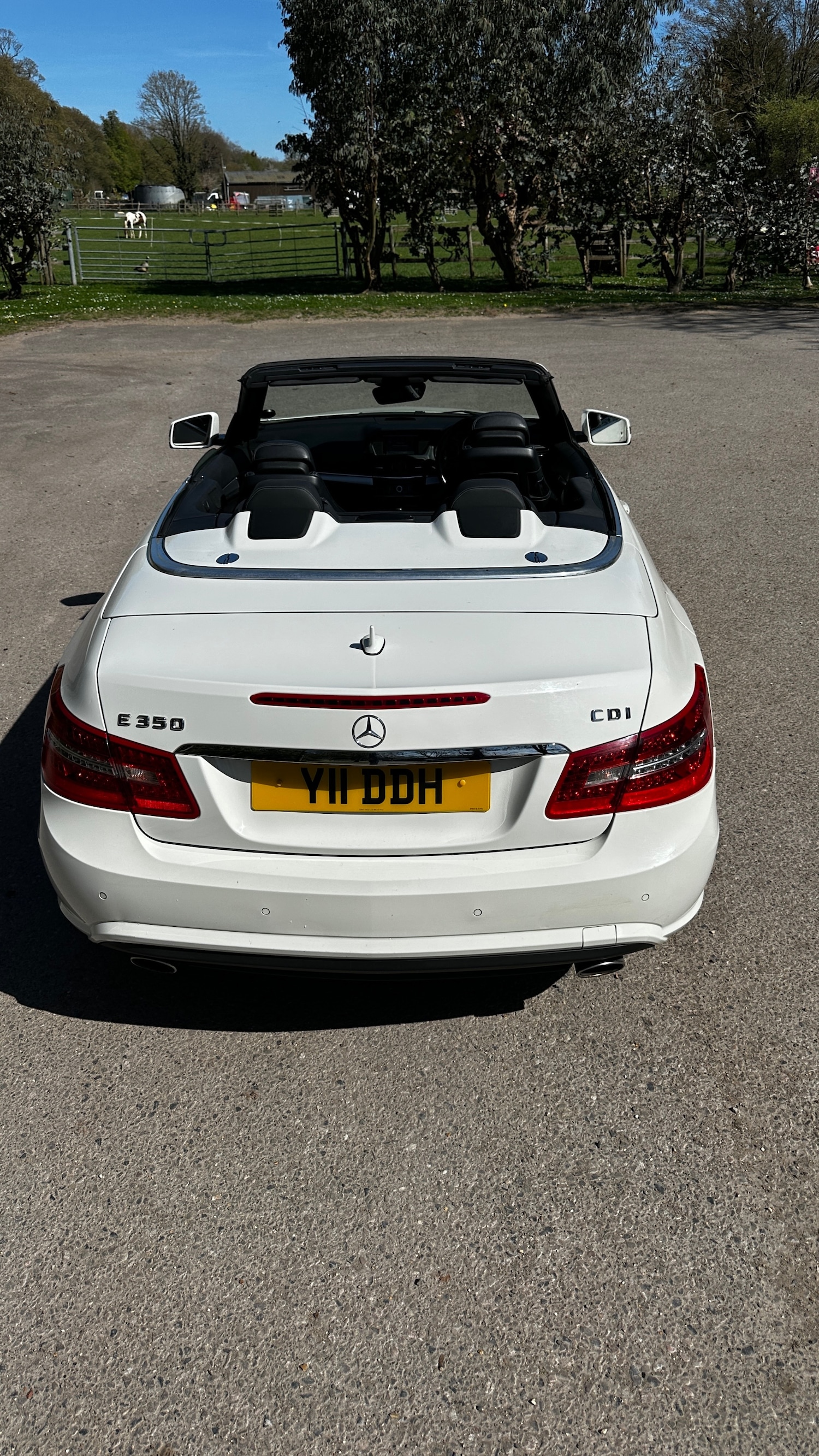 Used Mercedes-Benz E Class 2010 for sale - 78145975: Photo 11