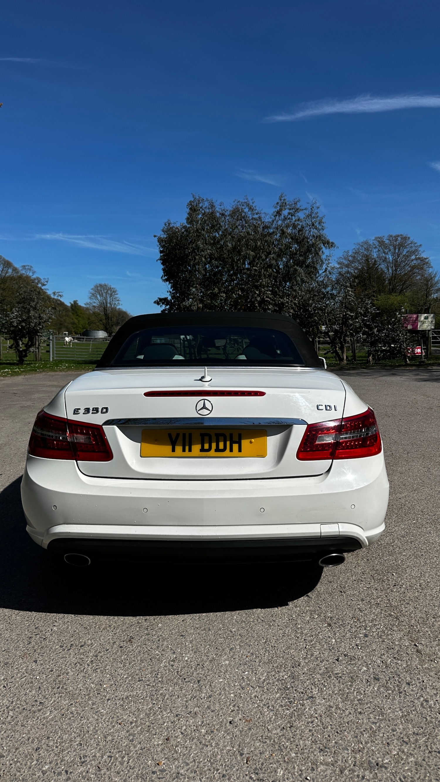 Used Mercedes-Benz E Class 2010 for sale - 78145975: Photo 24