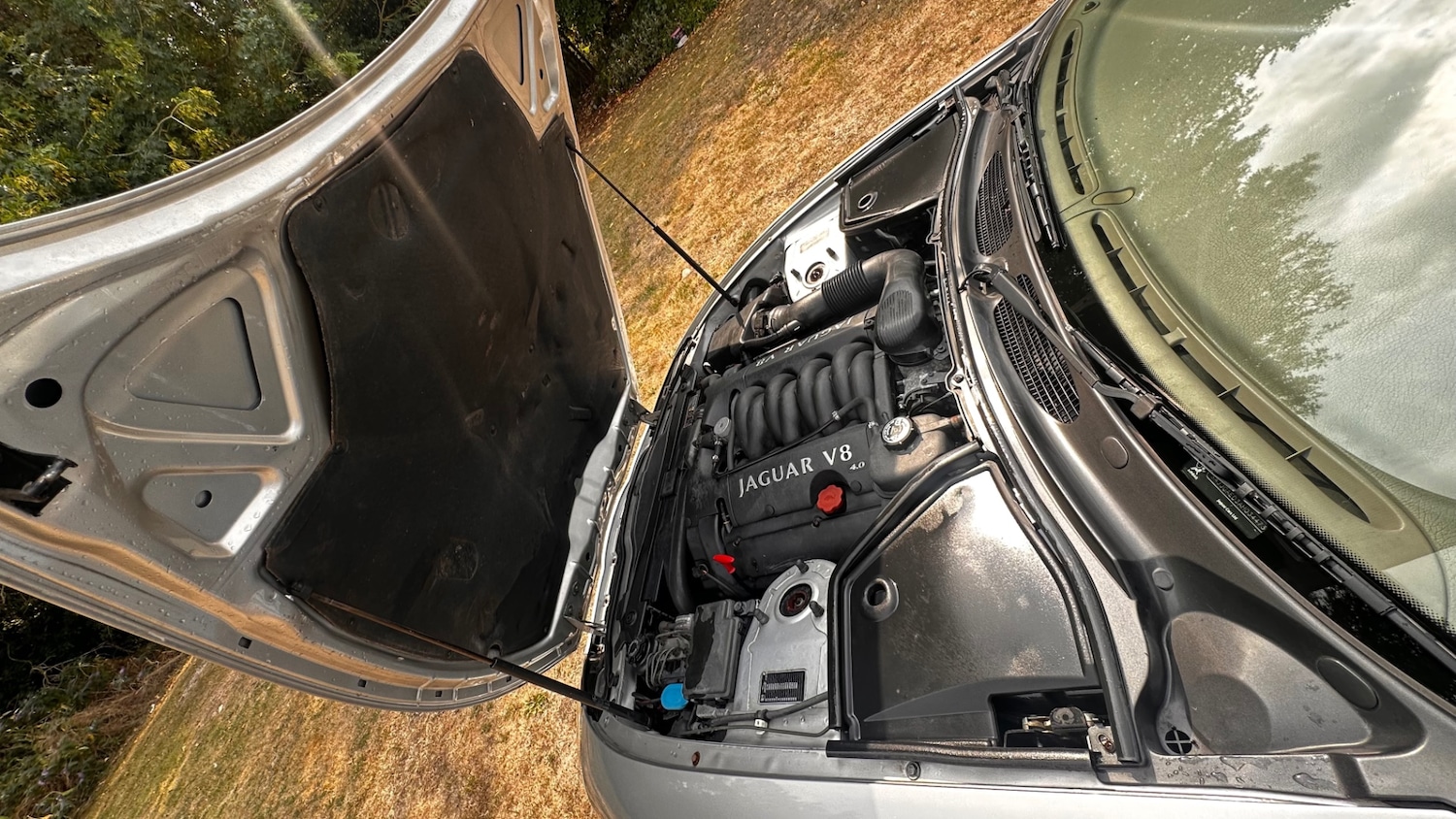 Vehicle 19