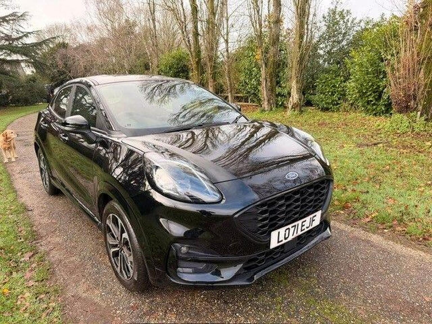 Used Ford Puma 2021 for sale - 77377730: Photo 2