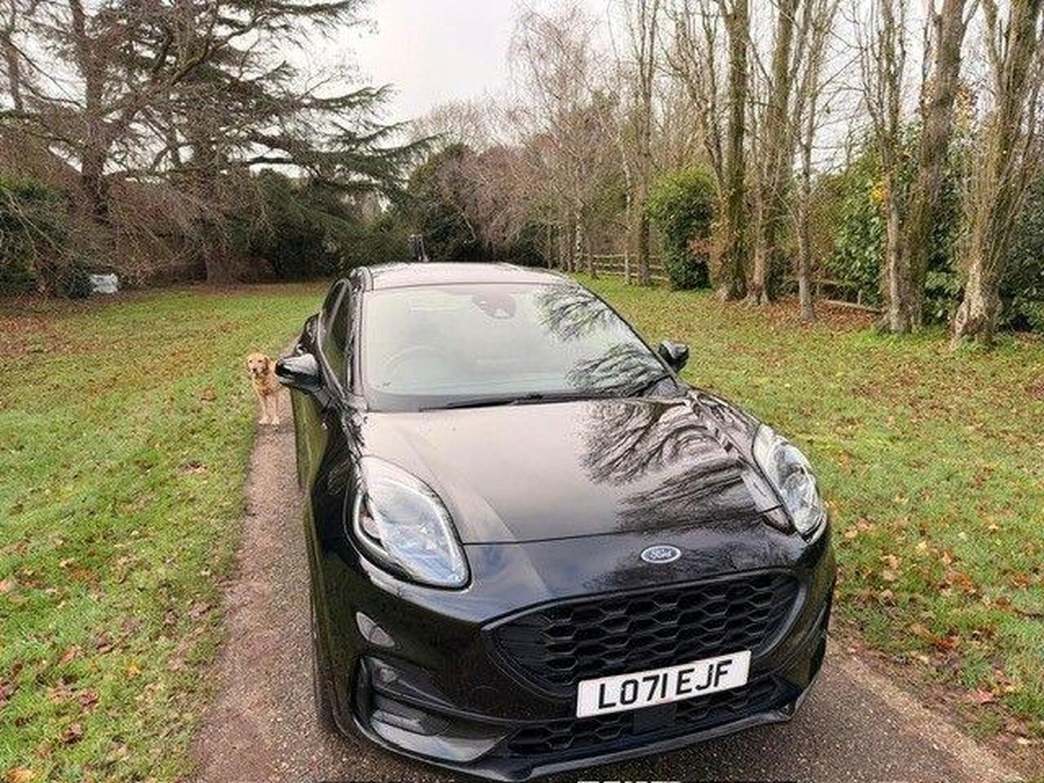 Used Ford Puma 2021 for sale - 77377730: Photo 34