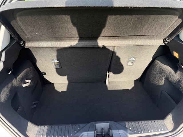 Used Ford Fiesta 2018 for sale - 77735658: Photo 16