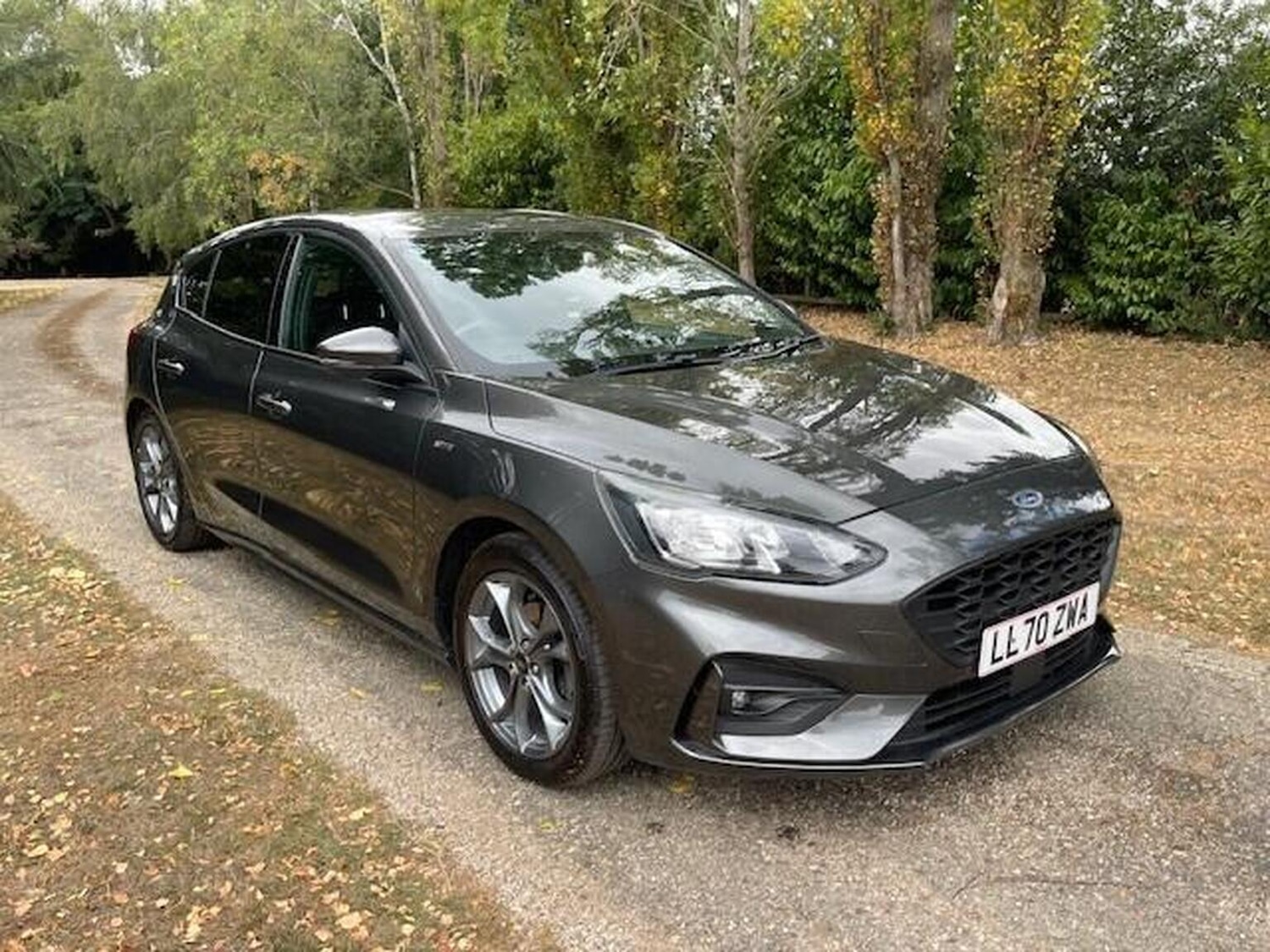 Used Ford Focus 2020 for sale - 77372376: Photo 49