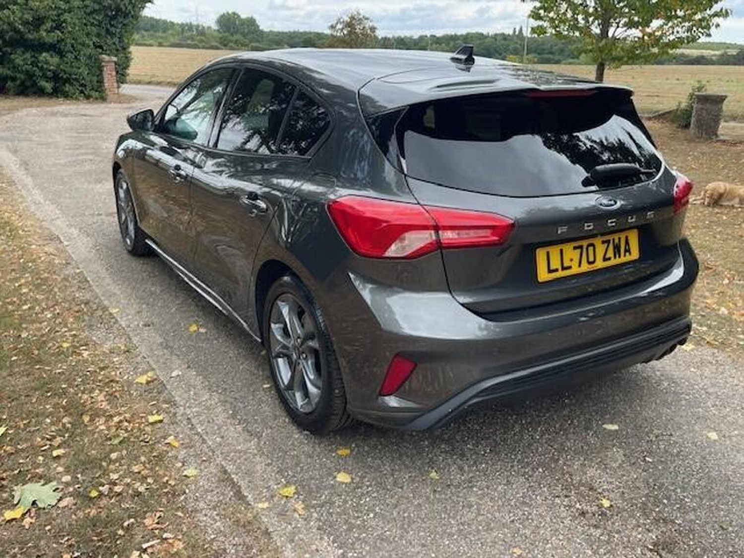 Used Ford Focus 2020 for sale - 77372376: Photo 55