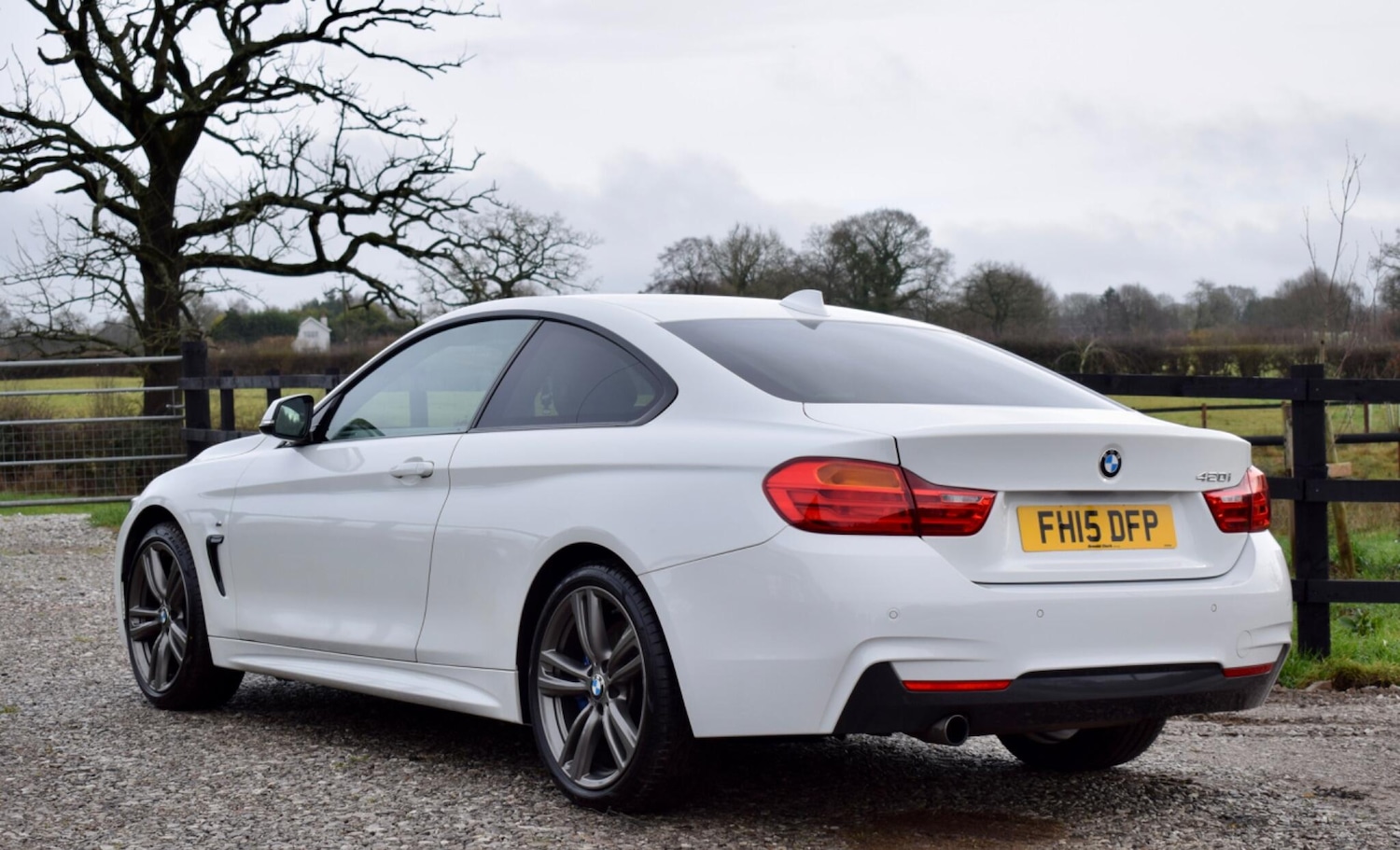 Used BMW 4 Series for sale - 77769343: Photo 11