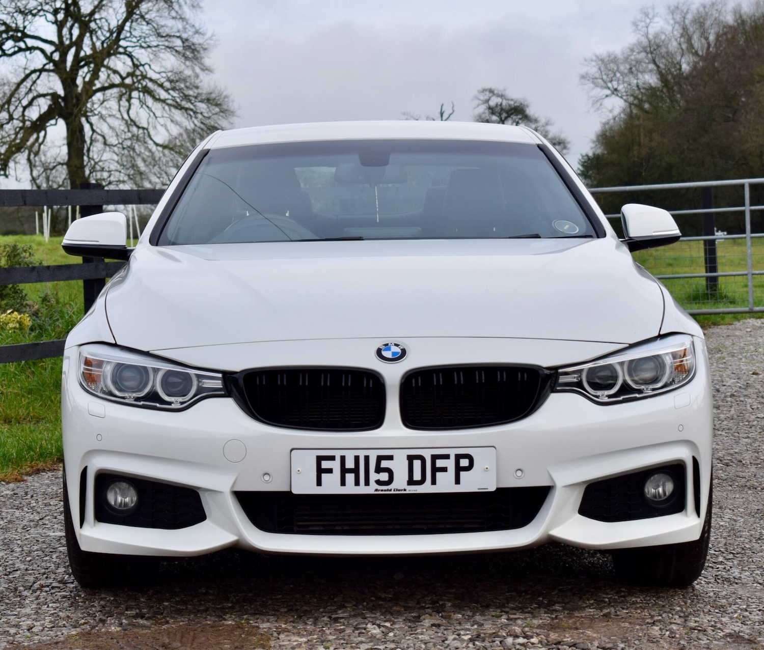 Used BMW 4 Series for sale - 77769343: Photo 2