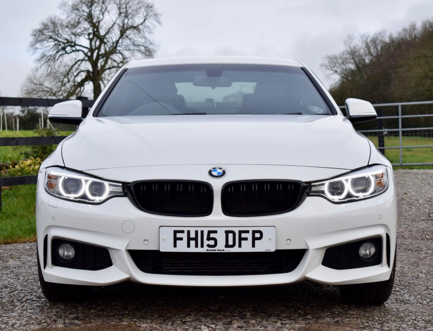 Used BMW 4 Series for sale - 77769343: Photo 8