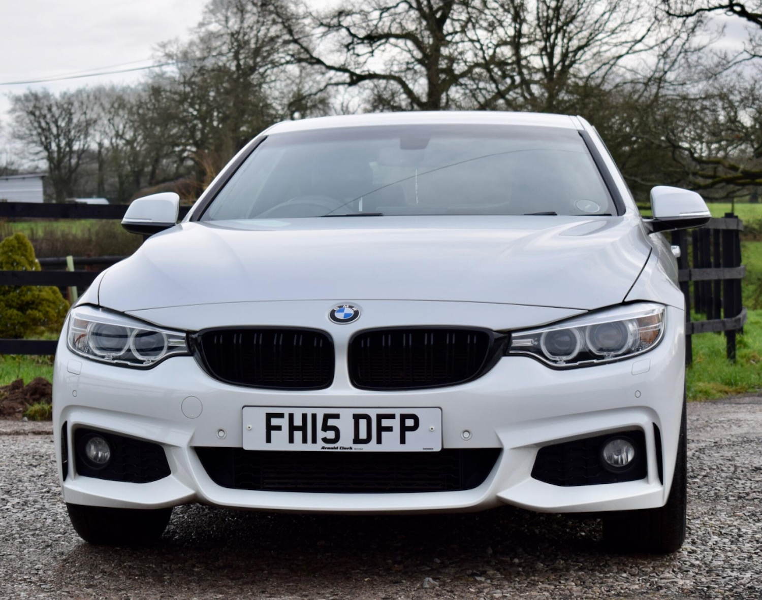 Used BMW 4 Series for sale - 77769343: Photo 9