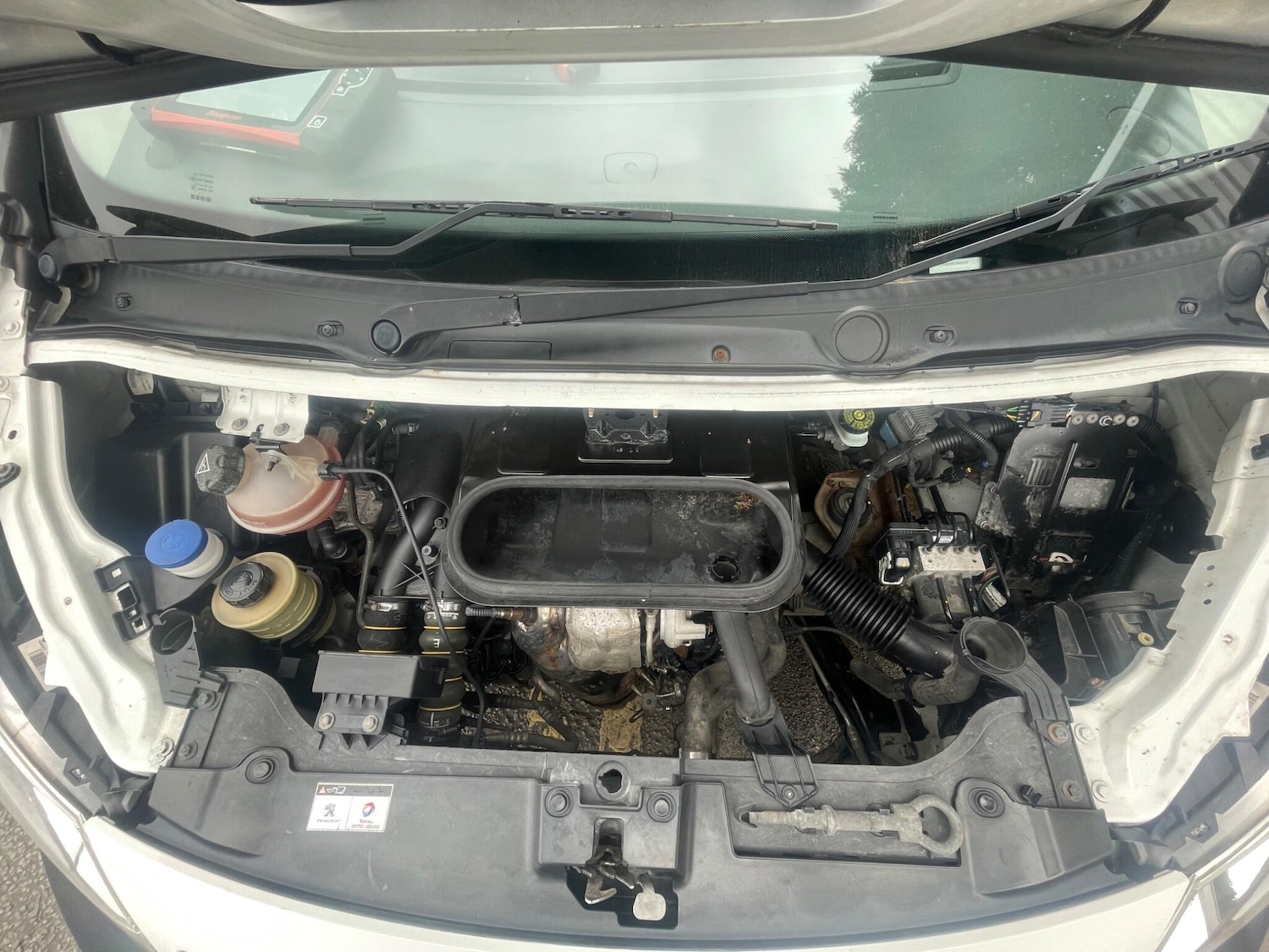 Used Peugeot Expert 2015 for sale - 77993752: Photo 14