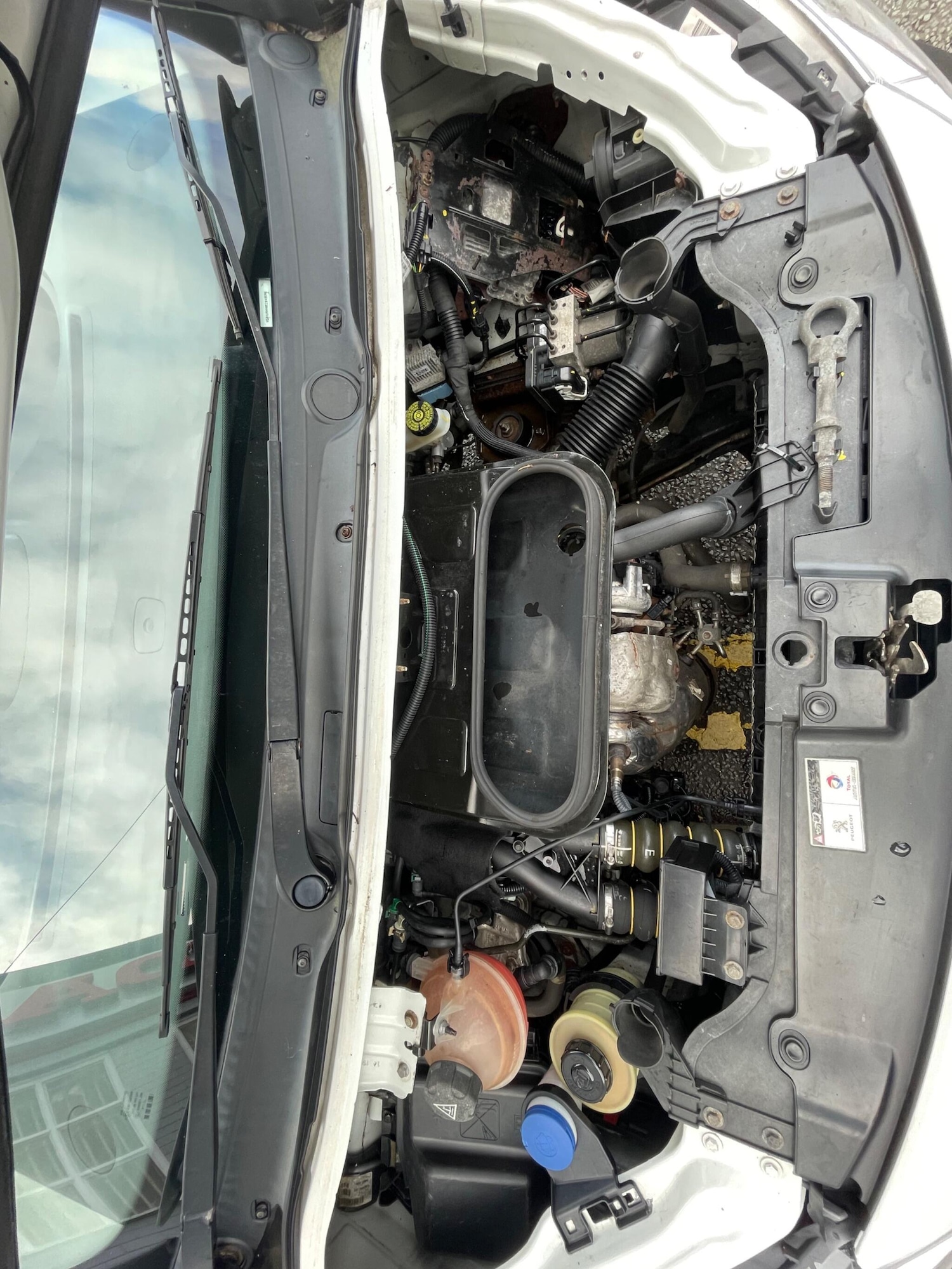 Used Peugeot Expert 2014 for sale - 76597145: Photo 16