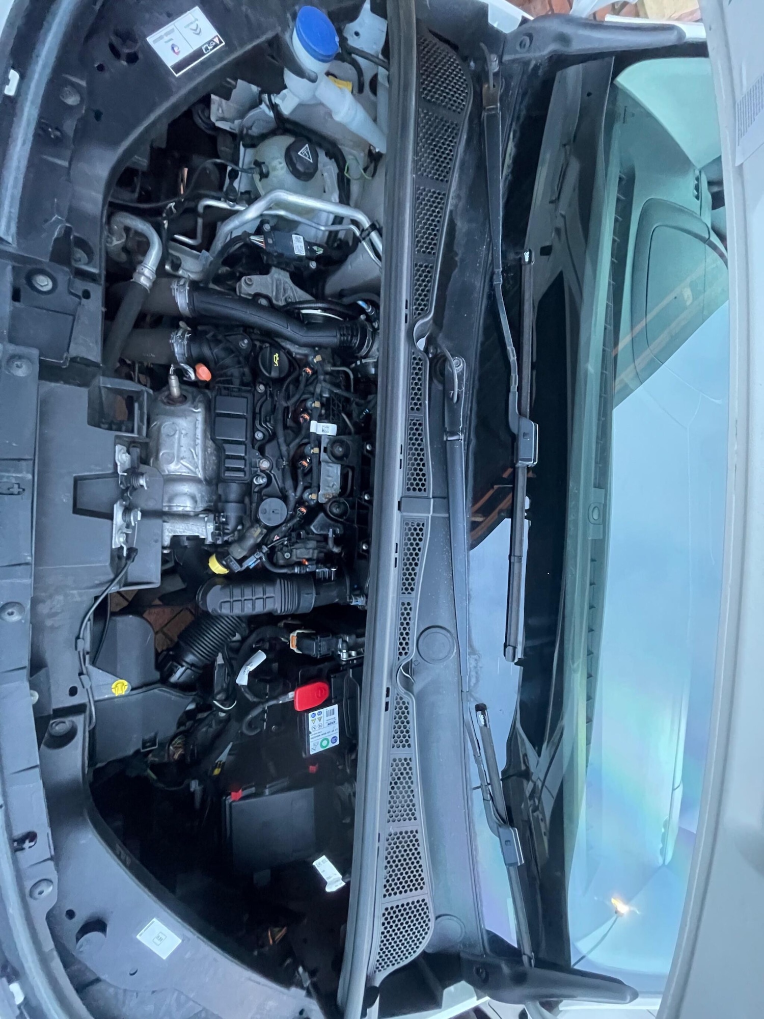 Used Citroen Berlingo 2019 for sale - 77131229: Photo 19