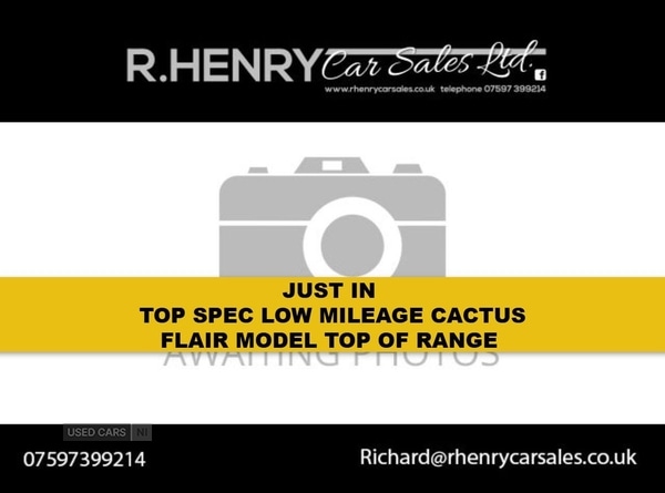 Used Citroen C4 Cactus 2016 for sale - 76825510: Photo 1