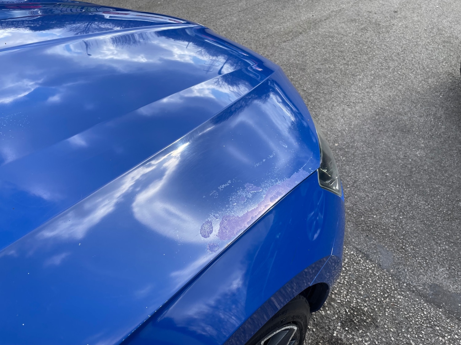 Used Skoda Superb 2019 for sale - 77830523: Photo 9