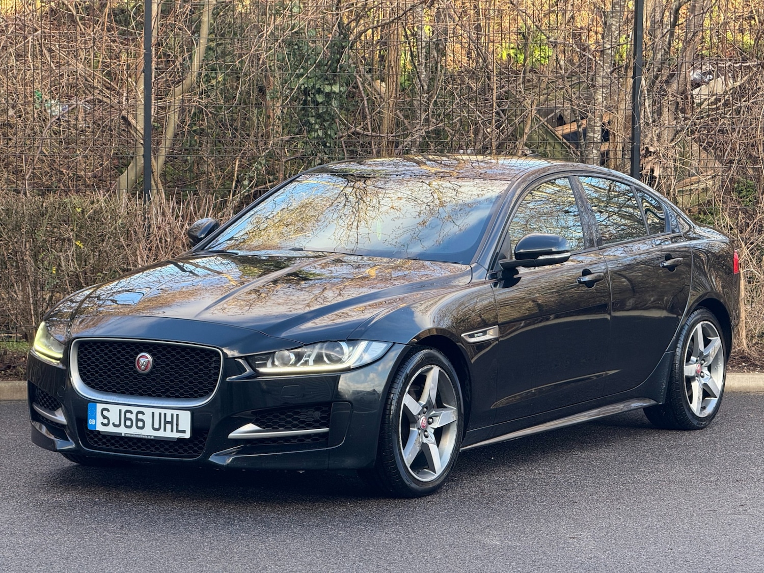 Used Jaguar XE 2016 for sale - 77677278: Photo 3