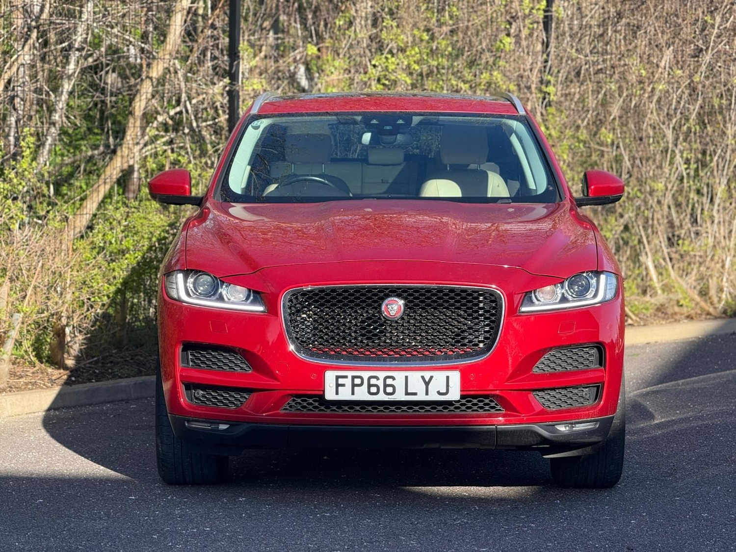 Used Jaguar F-Pace 2016 for sale - 77896330: Photo 2
