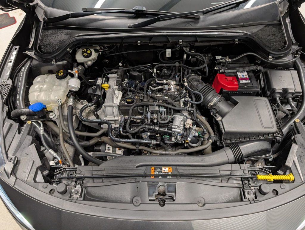 Used Ford Focus 2022 for sale - 77990767: Photo 79