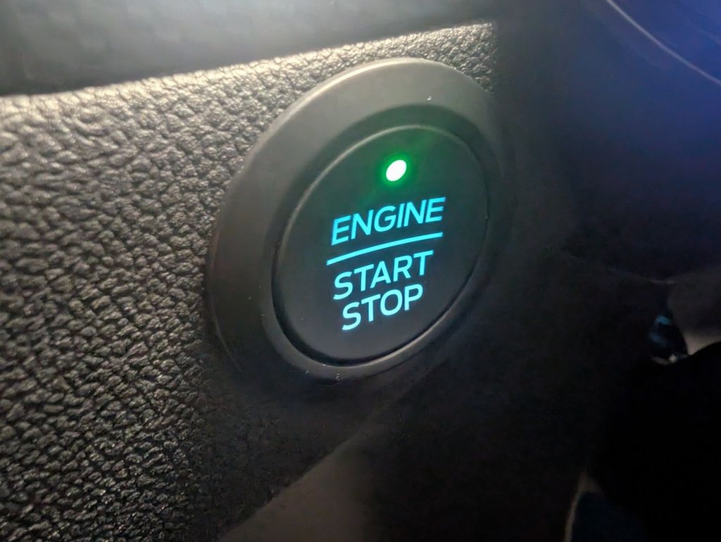 Used Ford Kuga 2022 for sale - 77356039: Photo 57