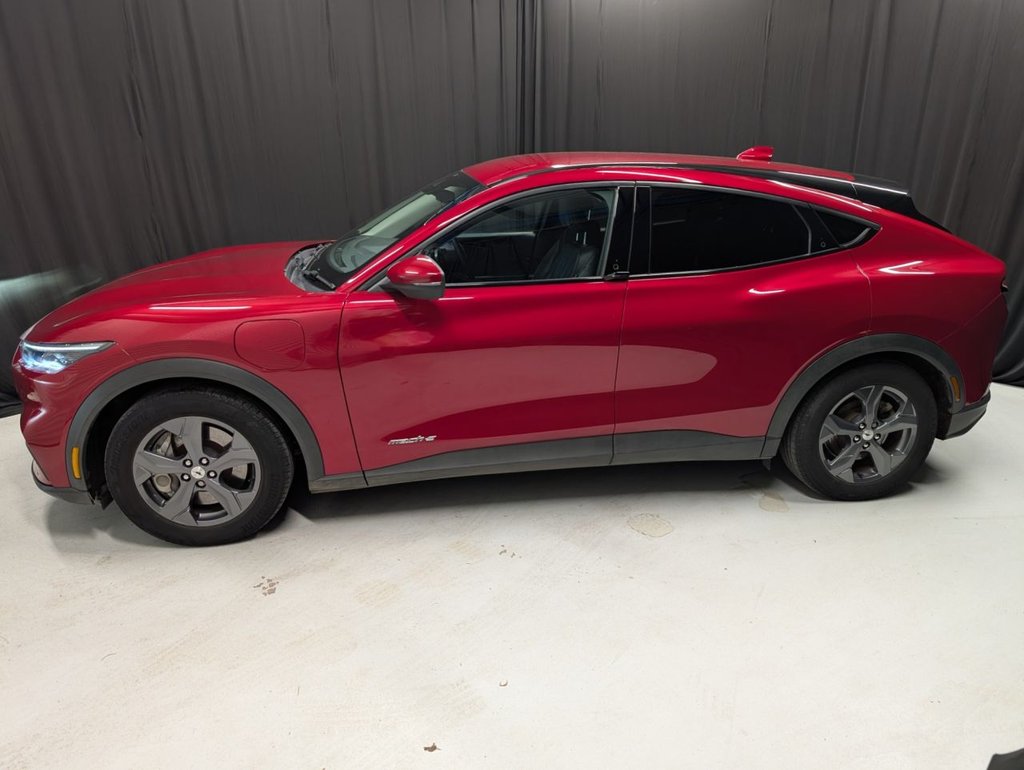 Used Ford Mustang Mach-E 2023 for sale - 77719622: Photo 10