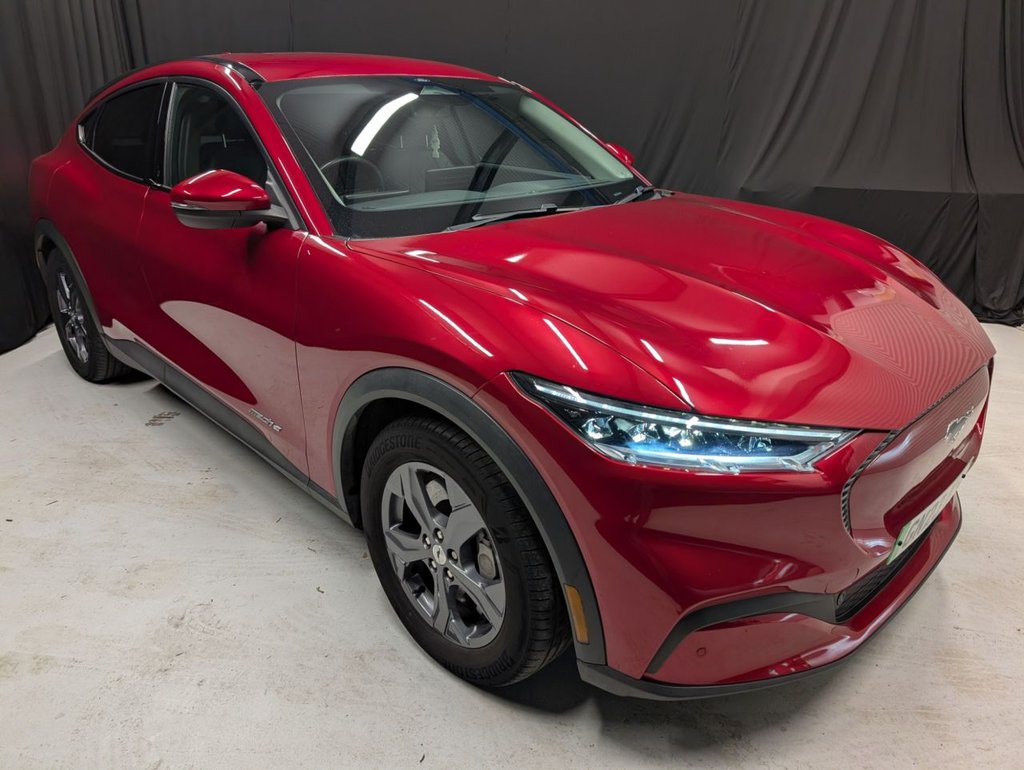 Used Ford Mustang Mach-E 2023 for sale - 77719622: Photo 5