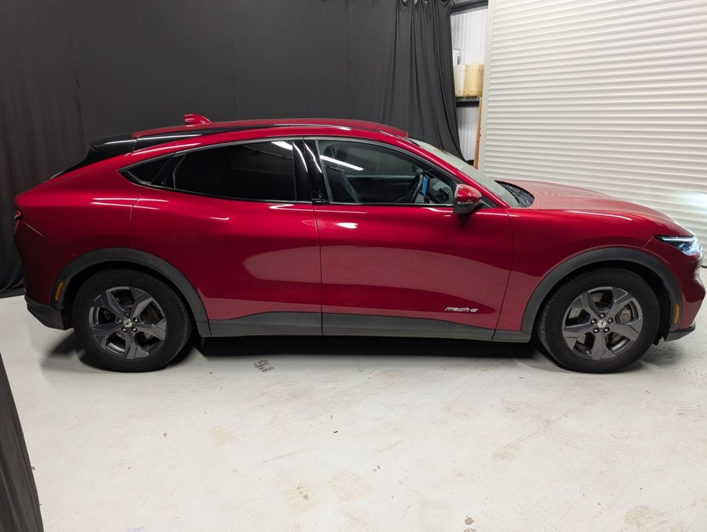 Used Ford Mustang Mach-E 2023 for sale - 77719622: Photo 6