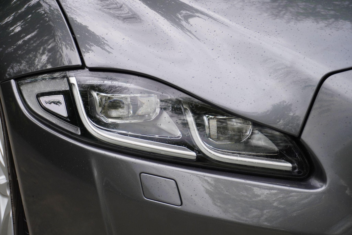 Used Jaguar XJ 2017 for sale - 76990570: Photo 68