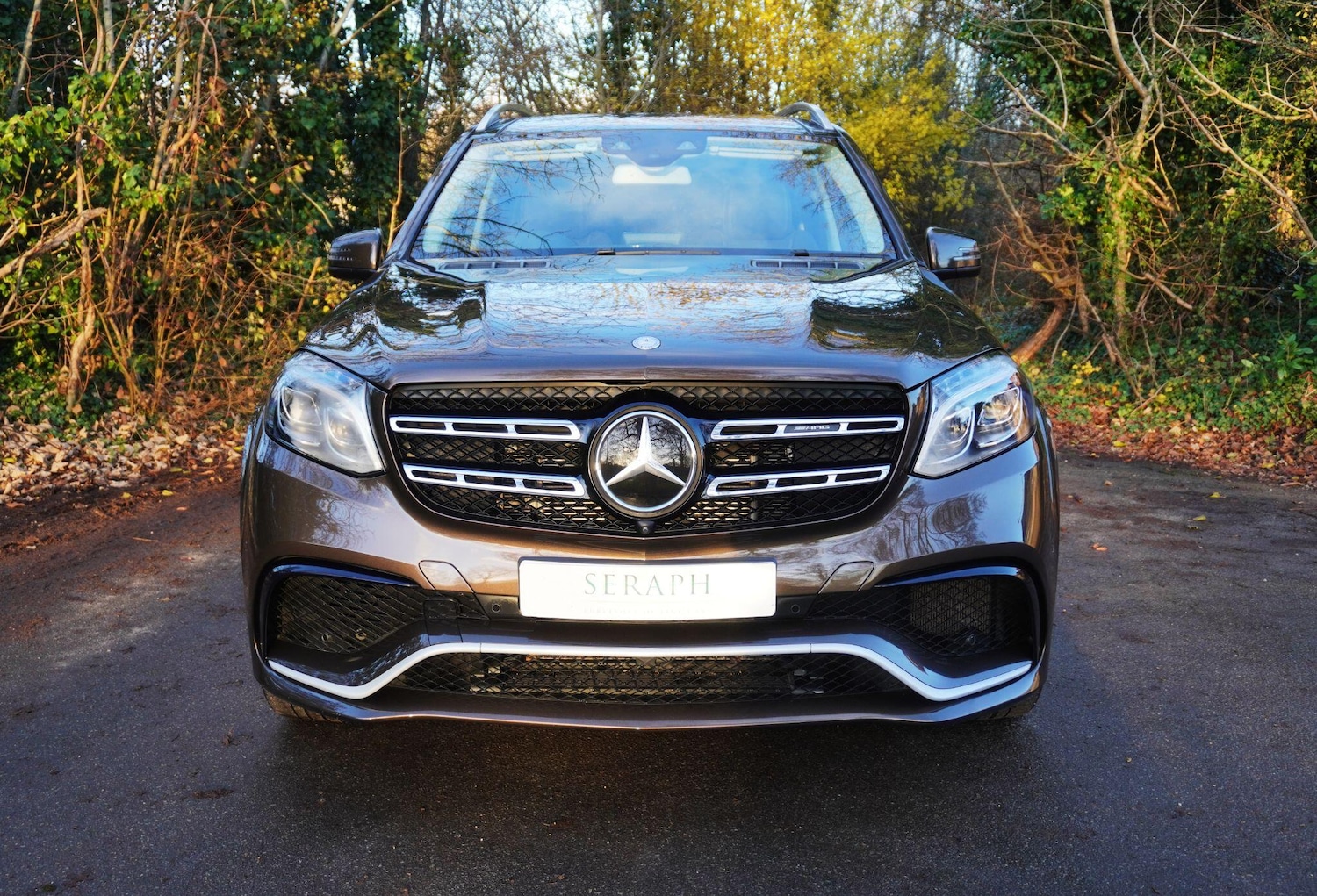 Used Mercedes-Benz GLS 2017 for sale - 76823690: Photo 8
