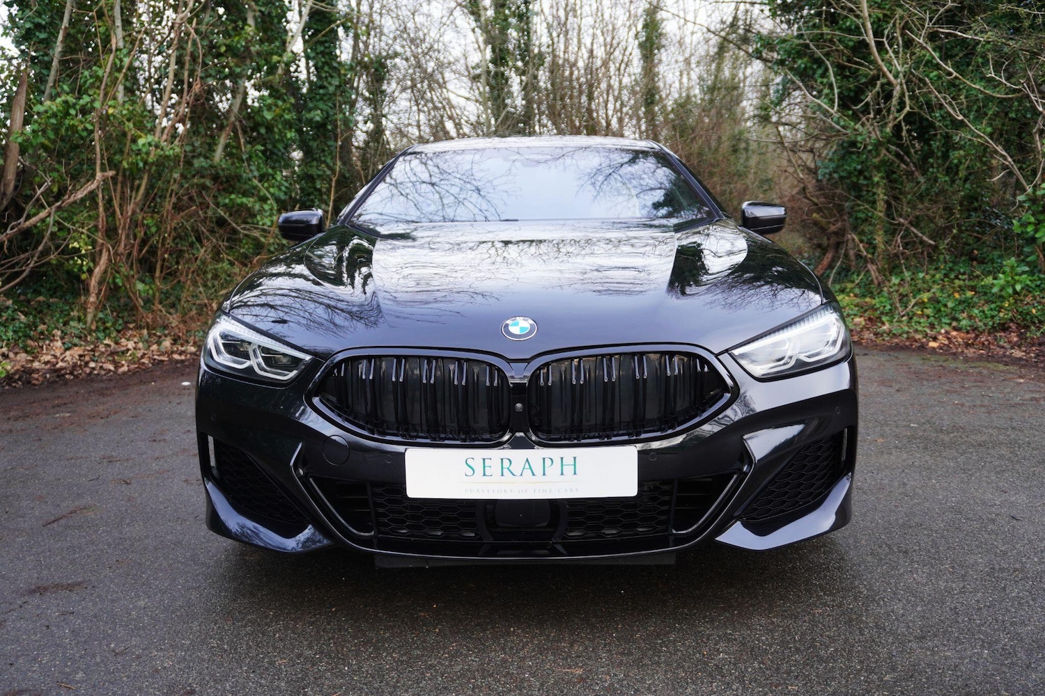 Used BMW 8 Series 2020 for sale - 77029718: Photo 8