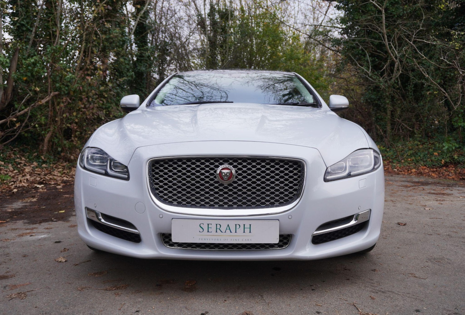 Used Jaguar XJ 2016 for sale - 76702396: Photo 8