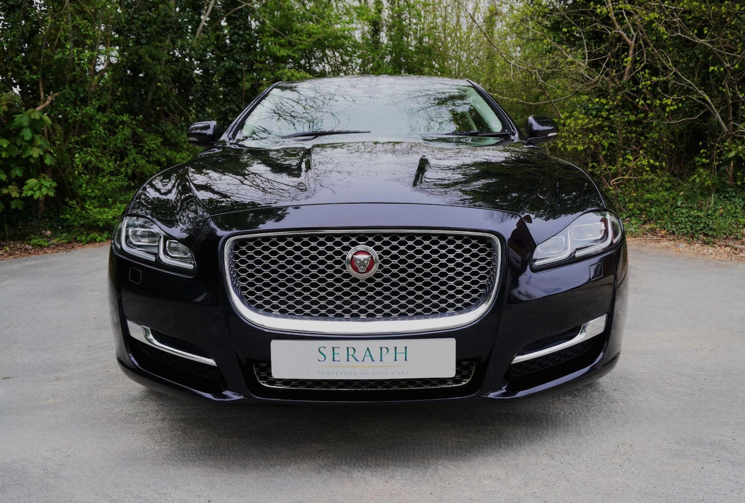 Used Jaguar XJ 2019 for sale - 78062927: Photo 8