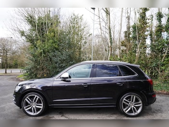 Used Audi SQ5 2014 for sale - 77598181: Photo