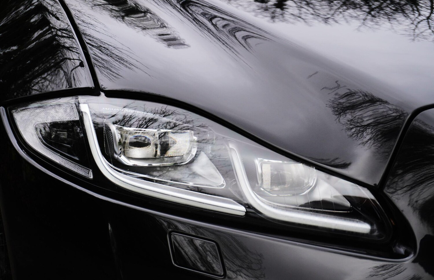 Used Jaguar XJ 2020 for sale - 78062713: Photo 74