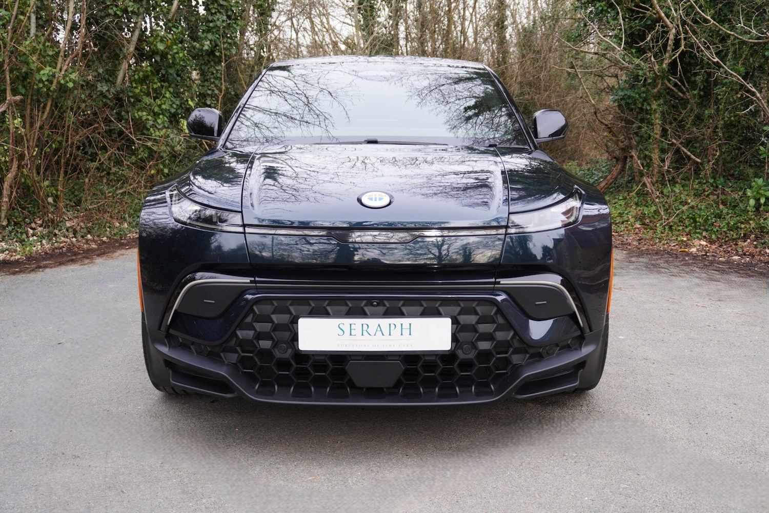 Used Fisker Ocean 2023 for sale - 78063066: Photo 8