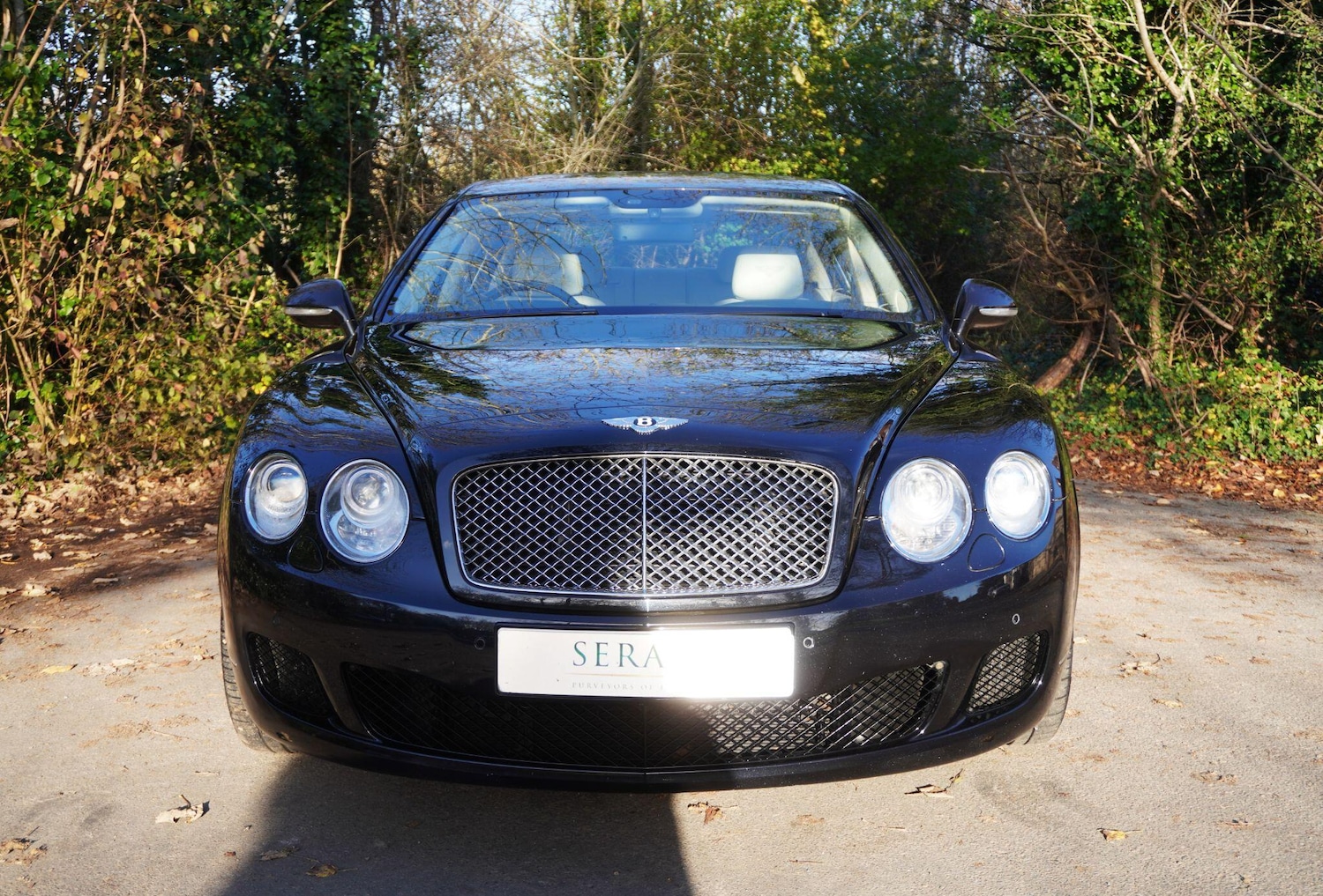 Used Bentley Continental 2009 for sale - 76608008: Photo 8
