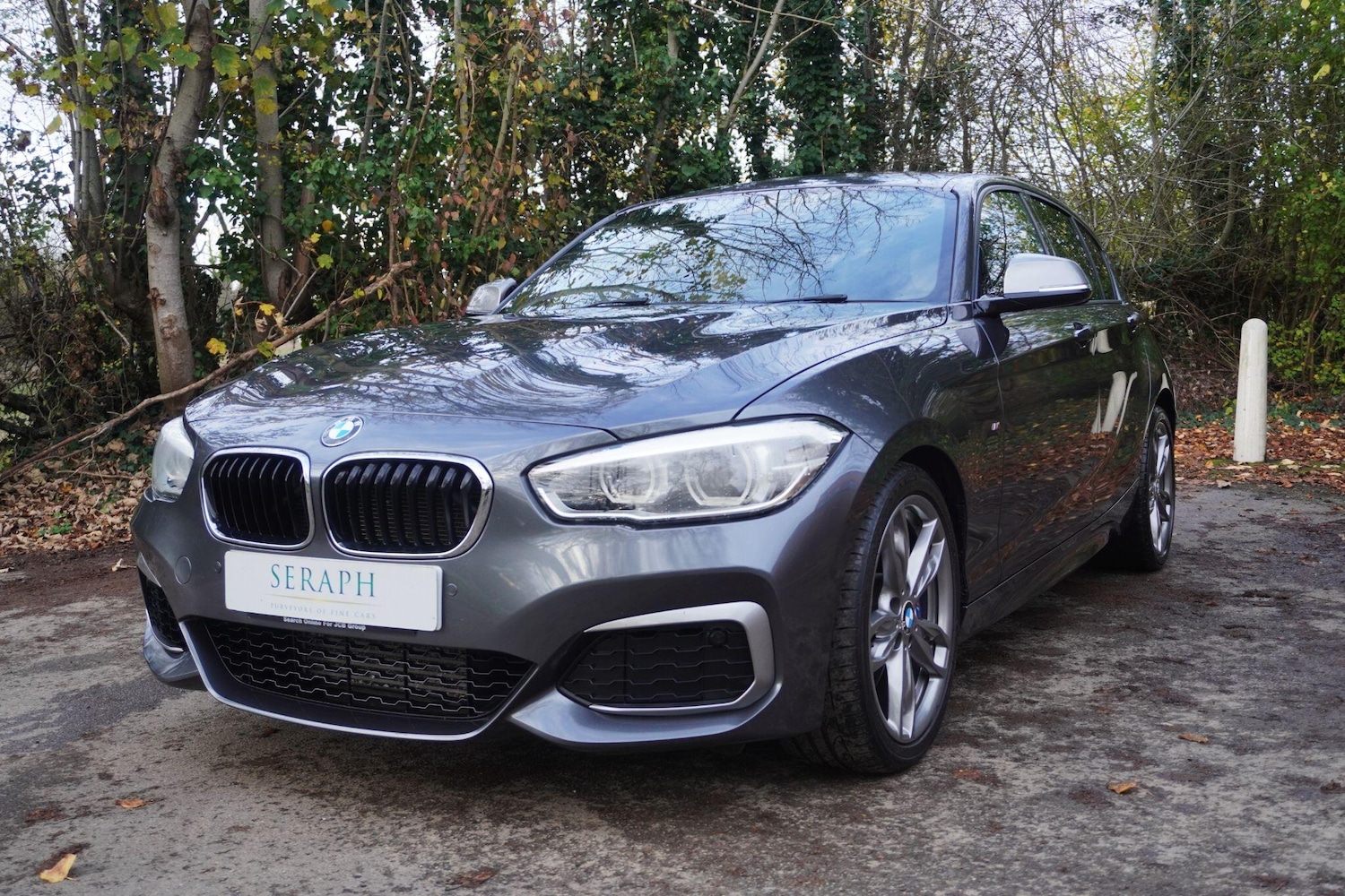 Used BMW 1 Series 2016 for sale - 76585574: Photo 1