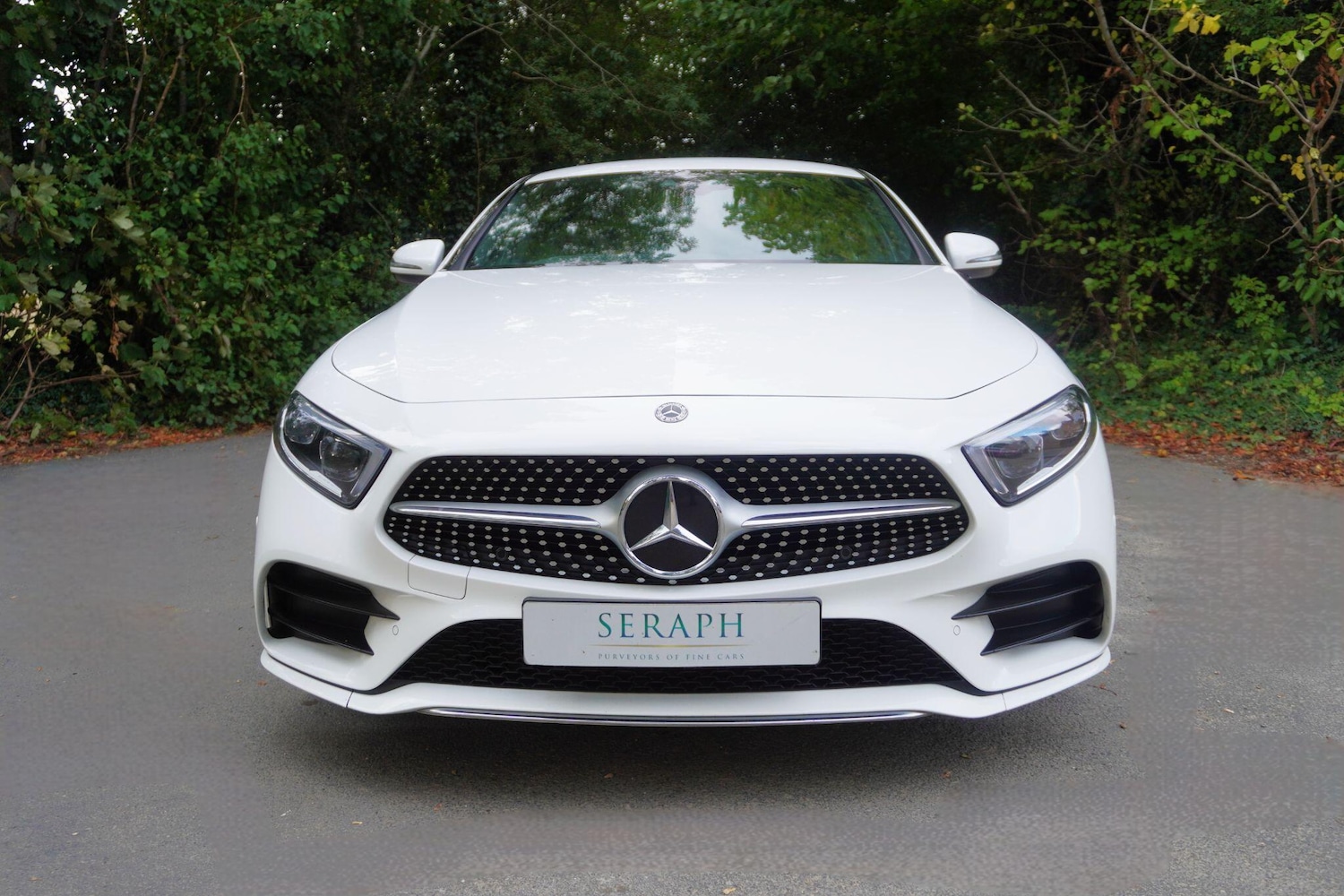 Used Mercedes-Benz CLS 2018 for sale - 76988779: Photo 8