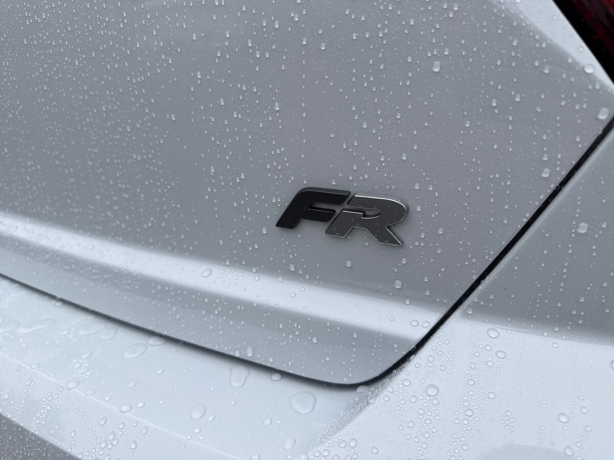 Used SEAT Ibiza 2024 for sale - 77329537: Photo 30