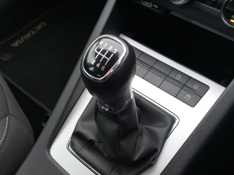 Used Skoda Octavia 2019 for sale - 76736905: Photo 15